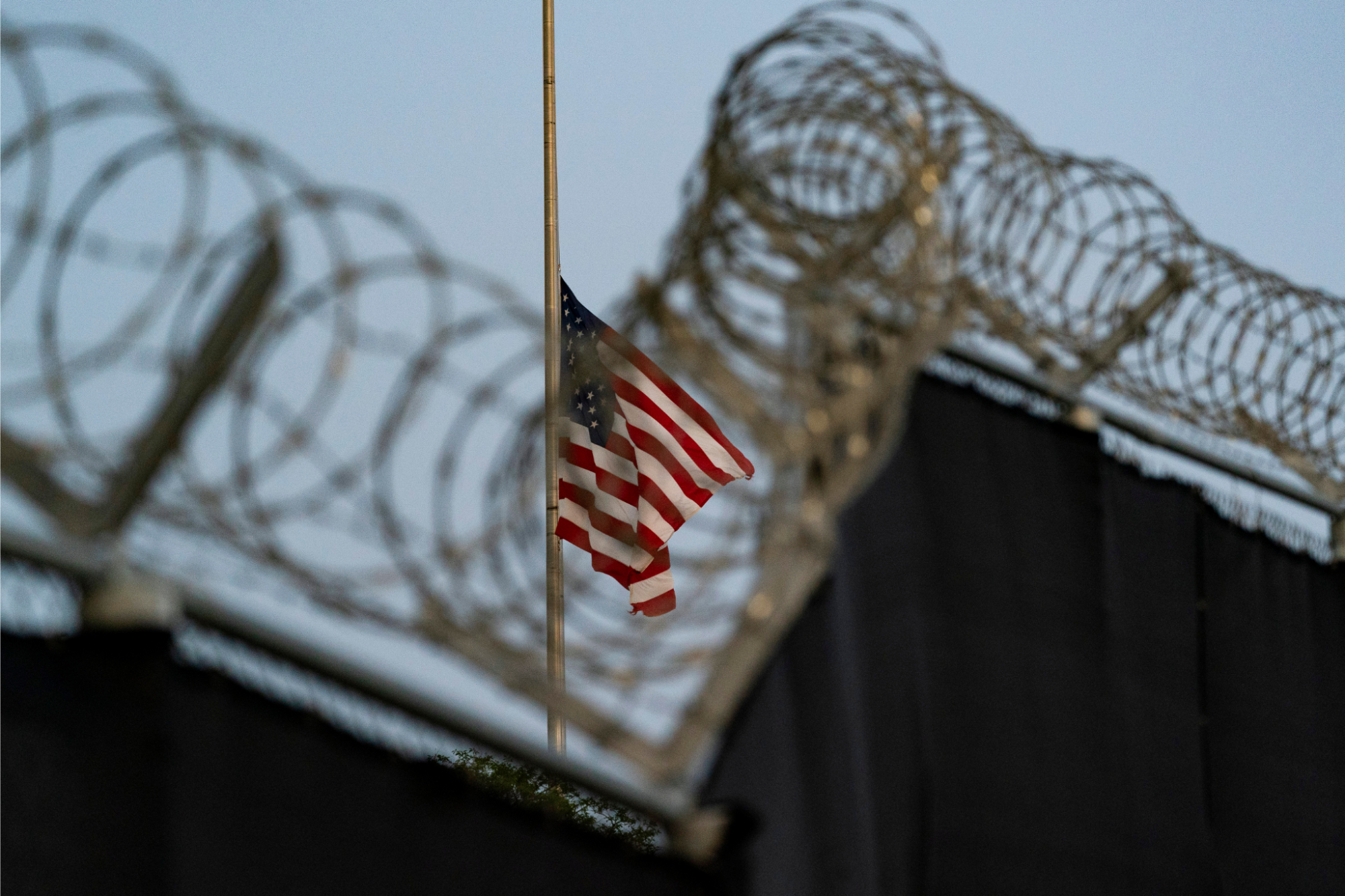 Photo of Barbed Wire at Guantanamo Bay Naval Base.